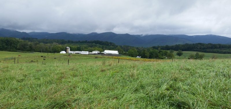 image of SVAREC