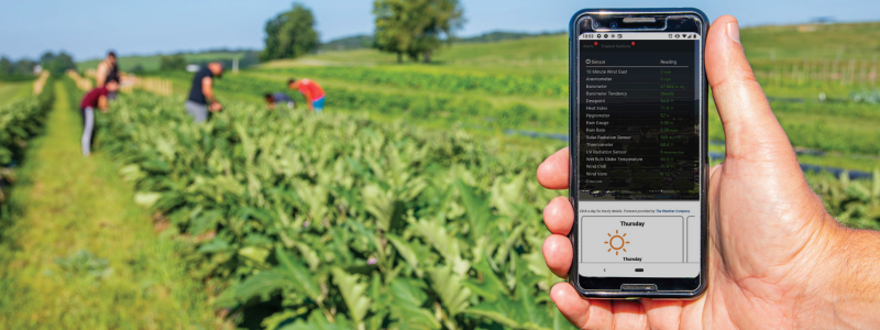 Image of a hand holding a smart phone in a field