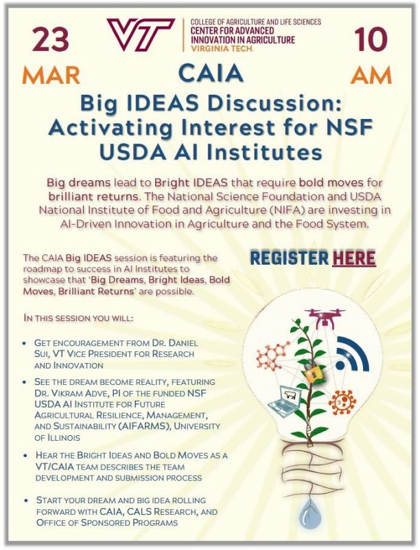 Image of CAIA Big IDEAS Discussion Flyer on March 23