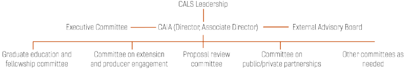 CAIA leadership structure graphic