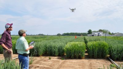 Eastern Virginia AREC research