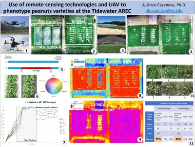 Image of Poster - Use of remote sensing technologies and UAV