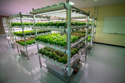 image of controlled environment center-plants